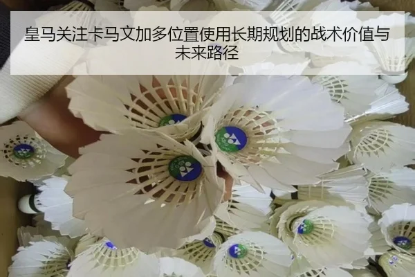 皇马关注卡马文加多位置使用长期规划的战术价值与未来路径