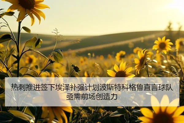 热刺推进签下埃泽补强计划波斯特科格鲁直言球队亟需前场创造力